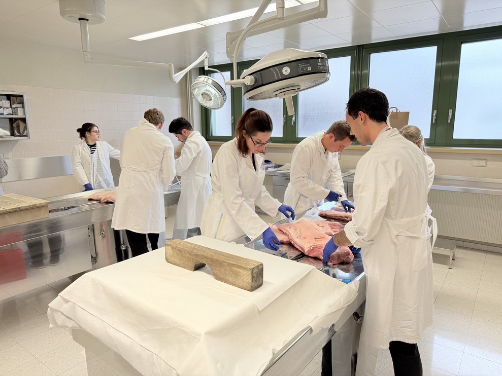 Die Studierenden übten das setzen einer Thoraxdrainage an Schweinehälften