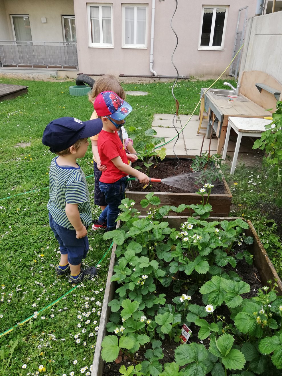 Betriebliche Kinderbetreuungseinrichtung Tulln