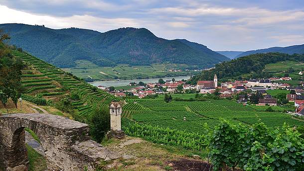 Bild zeigt die Wachau rund um Spitz an der Donau